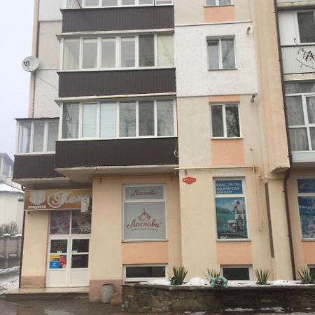 Elena'S Holiday Apartment Kamianets-Podilskyi Exterior photo